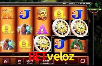 A Experiência Imersiva dos Cassinos Ao Vivo no betveloz
